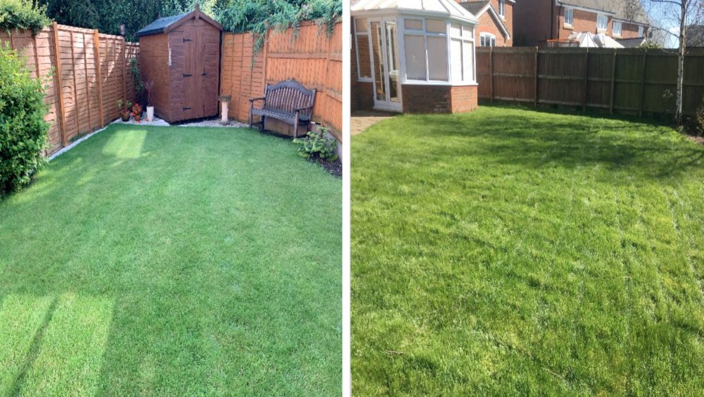 Lawn care treatments and Lawn renovations - Lovely Lawns Cheshire